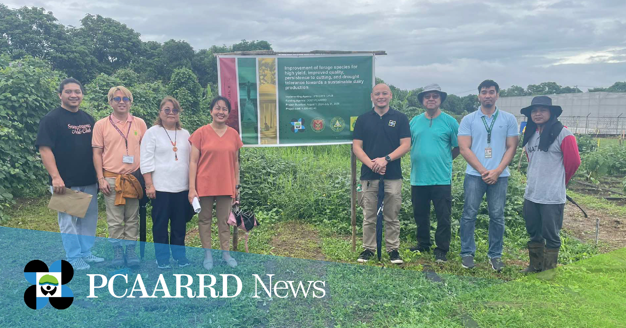 DOST-PCAARRD and UPLB-IPB collaborate to develop quality forages for dairy animals